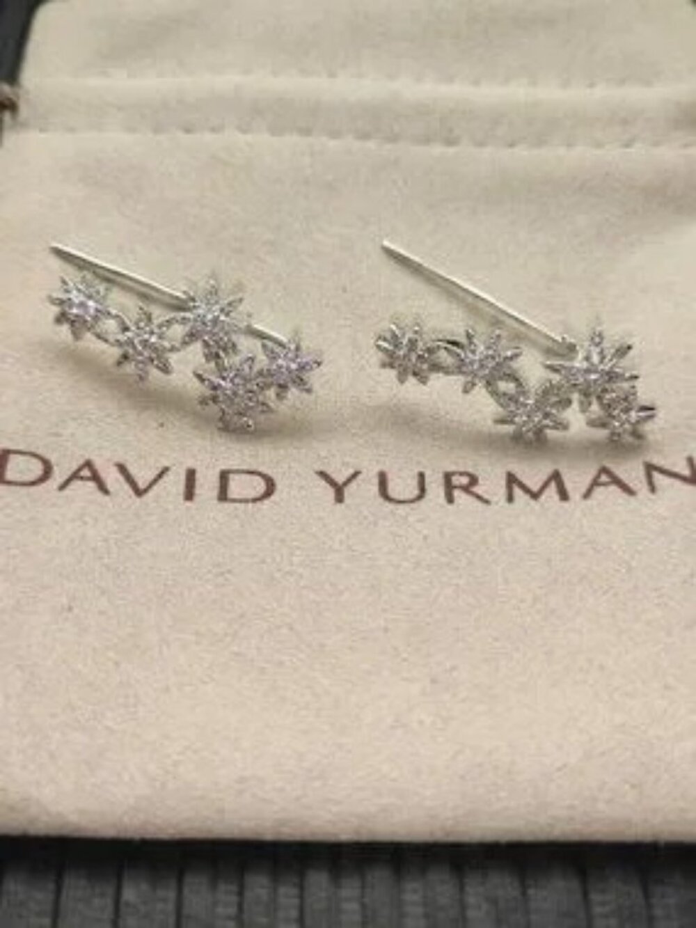 🥂David Yurman 925 Silver Earrings with Original Pouch
